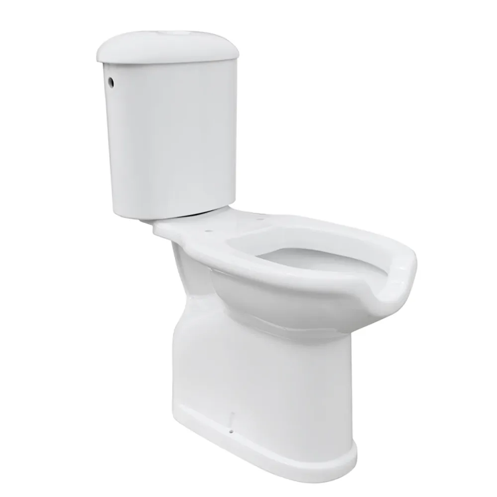 Monoblock white van keramiek bowl and cistern wall discharge ideal people disabilities