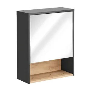 Spiegelkasten BORNEO MC60 1D 60x25x75 Donkergrijs