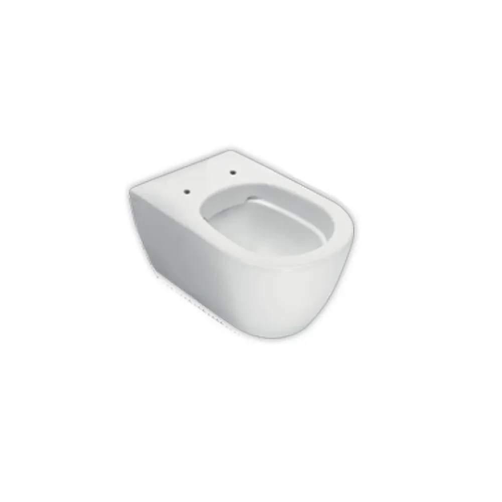 Pair wall-hung sanitary fixtures 54x35 cm Fusion series Hatria soft-close seat