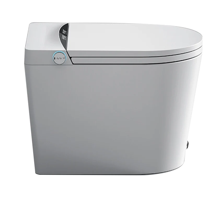 Modern Elongated White Floor Standing Bidet Opgewarmd Seat and Remote Control Included met Drukknopbediening