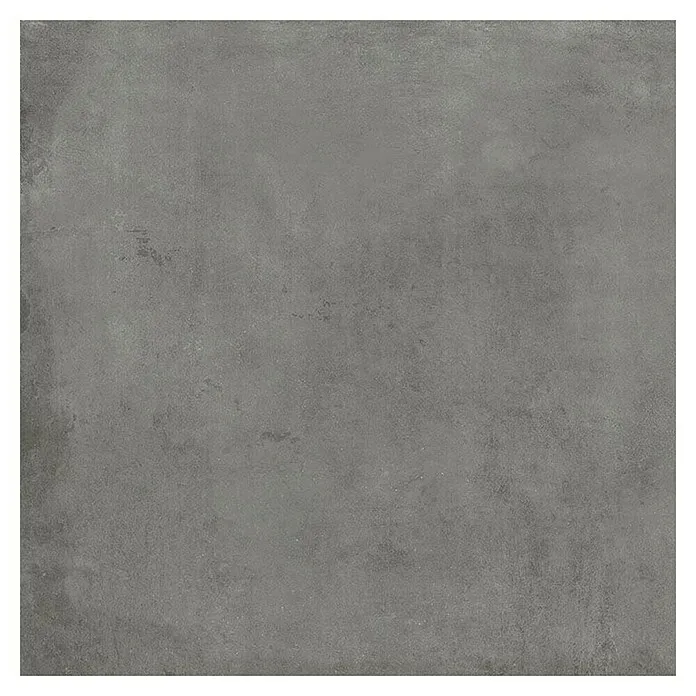 Tau ceramica Vloertegel CanCan Grauw - b x l: 60 x 60 cm, Dikte: 8,5 mm