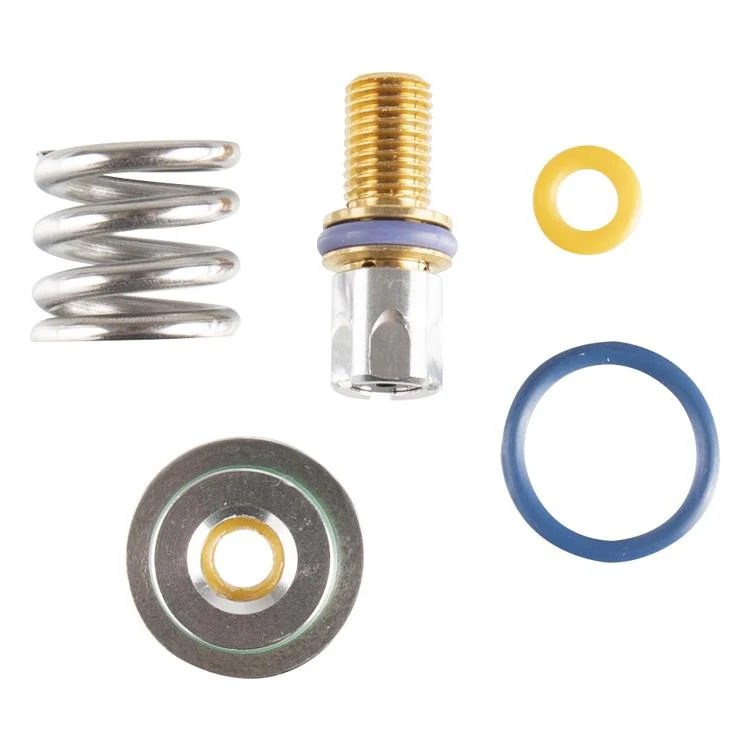 Gecertificeerd VdS Dye DSR / DSR+ H6 Regulator Rebuild Kit