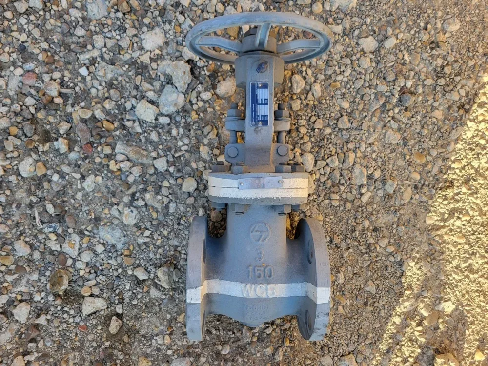 2019 3" Class 150 Gate Valve API 600