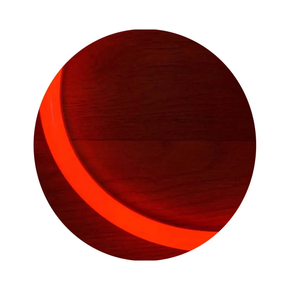 Rode DC12V neon LED-lichtslang, commerciële flexibele waterdichte strip, feestbar, decoratie ~ 2871