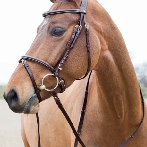 Constance Padded Flash Bridle Light Bruin P