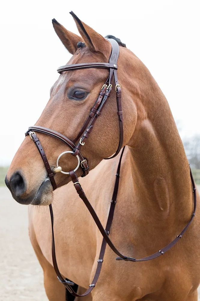Constance Padded Flash Bridle Light Bruin P