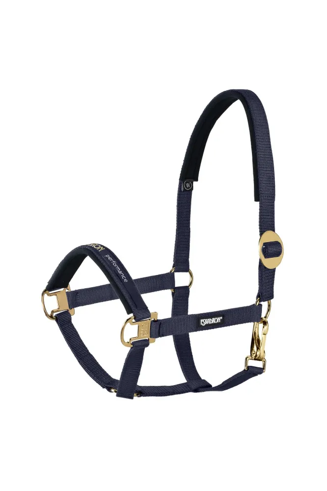 Professionele Waterdichte Halter sliding Buckle Nightblue P