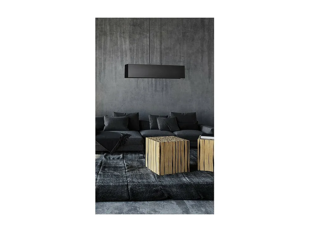 Suspension Gentor, Noir, 48x100x6 cm, EPIKASA met Lange Kabel