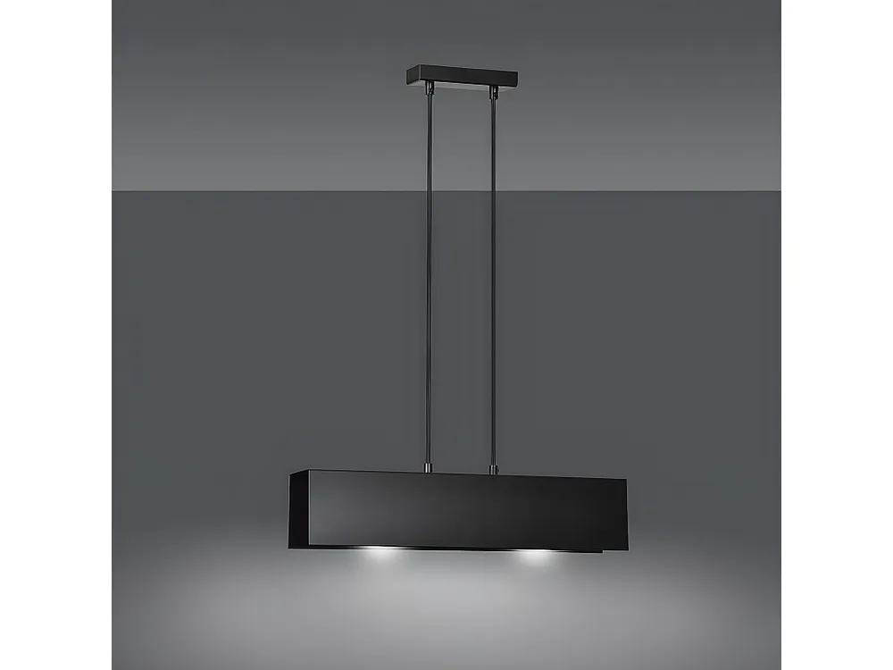 Suspension Gentor, Noir, 48x100x6 cm, EPIKASA met Lange Kabel
