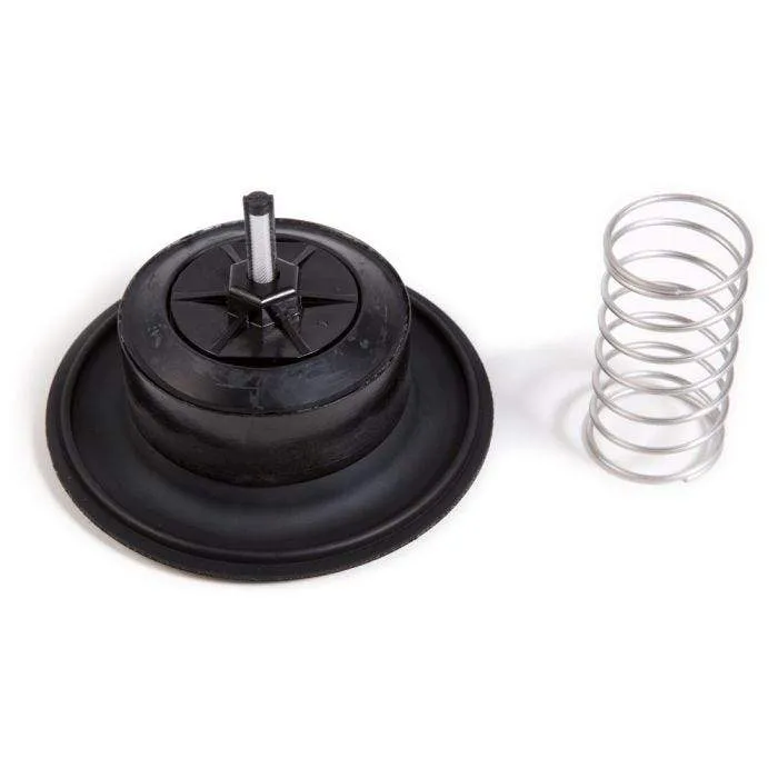 Rain Bird - 209005 DIAPH200PG - Diaphragm Repair Kit PGA 2" Valves