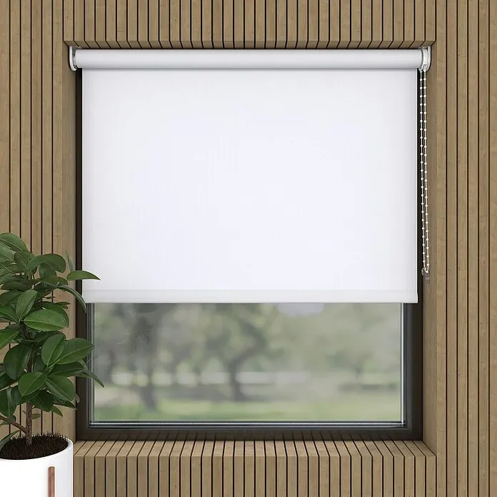 Rolgordijn - b x h: 120 x 190 cm, Daglichtdoorlatend