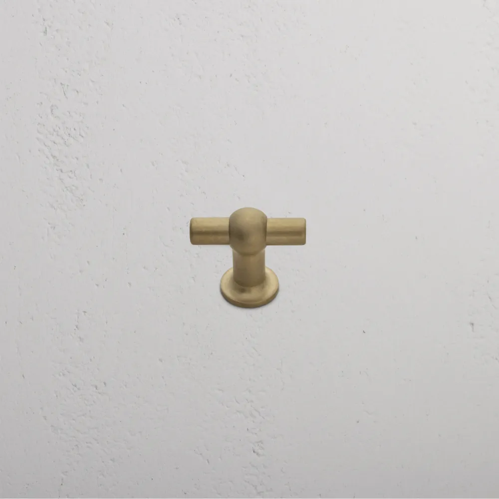 Harper T-bar kastgreep petit - Antiek messing