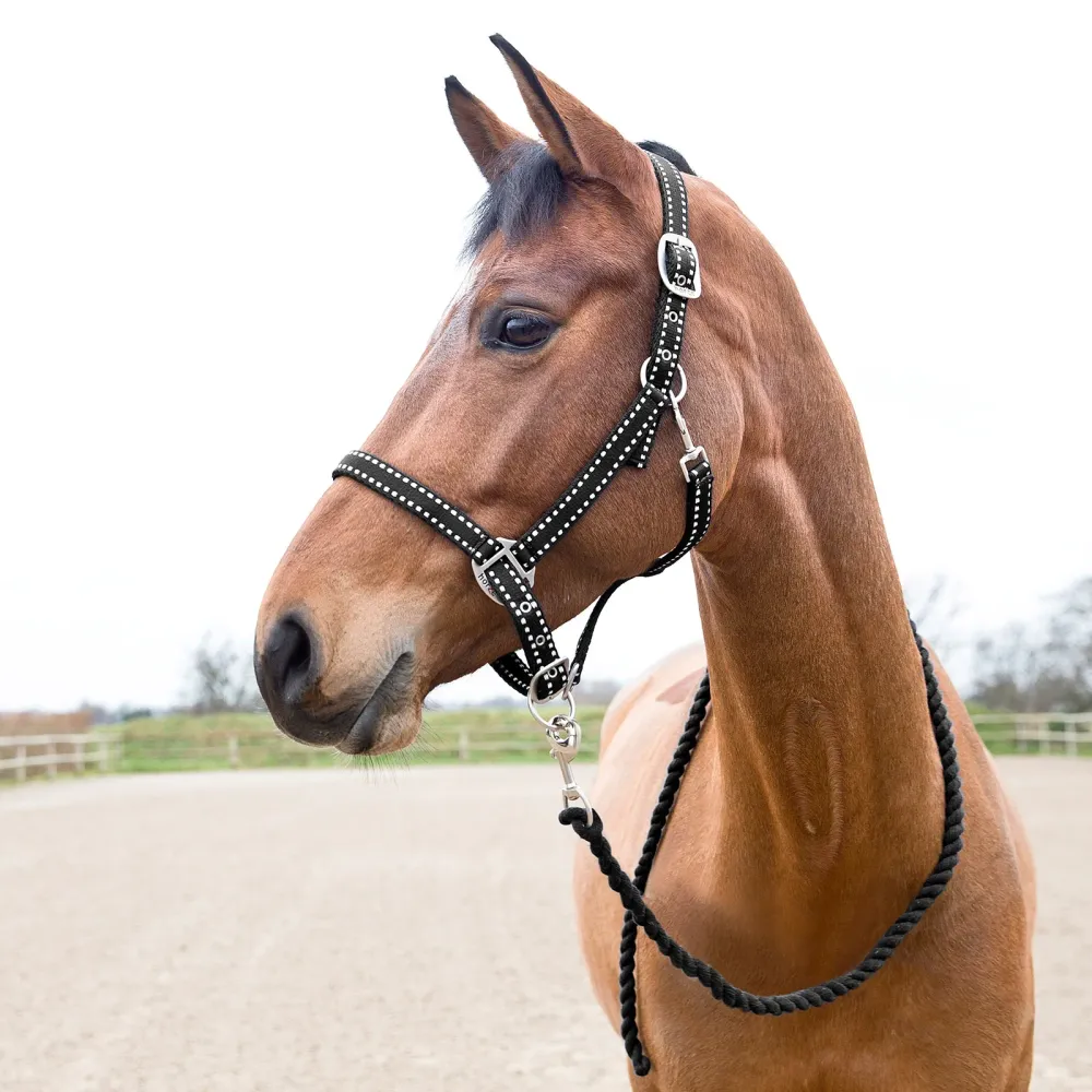 Cooper Halter and Lead Set Ravenzwart C