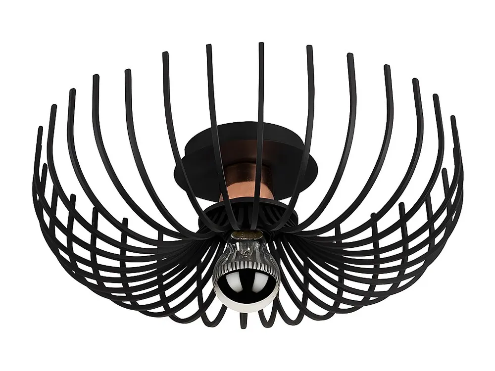 Plafondlamp ASPENDOS - D.36 x H. 12 cm - Zwart - Koop nu zonder meer en goedkoop producten van topkwaliteit tegen kortings...