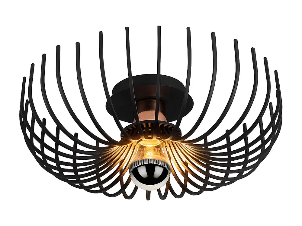 Plafondlamp ASPENDOS - D.36 x H. 12 cm - Zwart - Koop nu zonder meer en goedkoop producten van topkwaliteit tegen kortings...