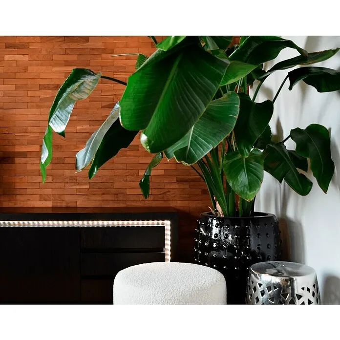 Calex Led-strip Connected Striplight - Lengte: 2 m, Lichtkleur: RGB, 480 lm, 12 V met Afstandsbediening
