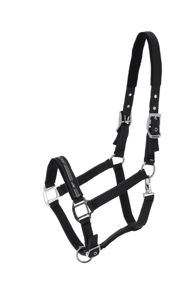 Memphis II Halter Dark Grey P