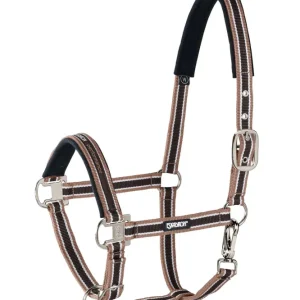 Verstelbaar Inbouwsysteem Halter Pin Buckle Hazelnut-Creme-Darkbrown P