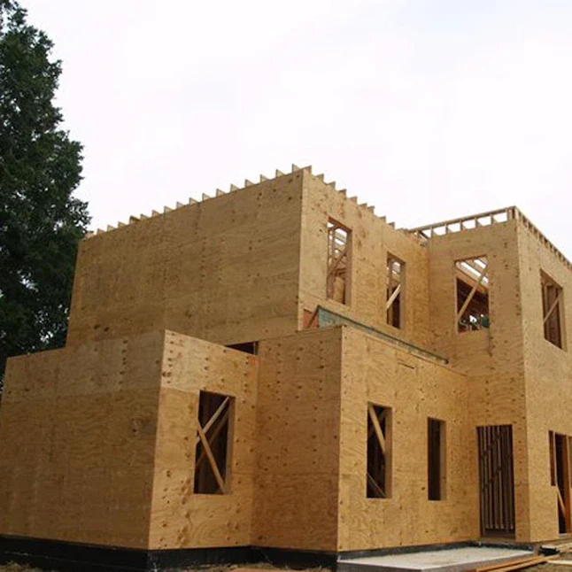 Plytanium 1/2- x 4-ft x 8-ft Rated Grenen Plywood Sheathing