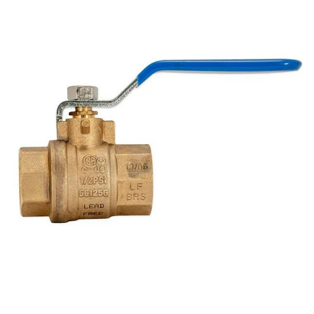 Eastman 3/4 . IPS Industrieel Full Port Ball Valve