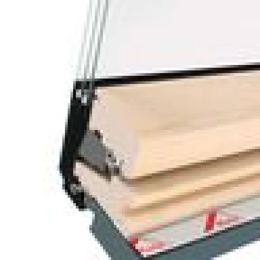 Roto dakraam - Designo R4 - hout wit gelakt - 54x78cm