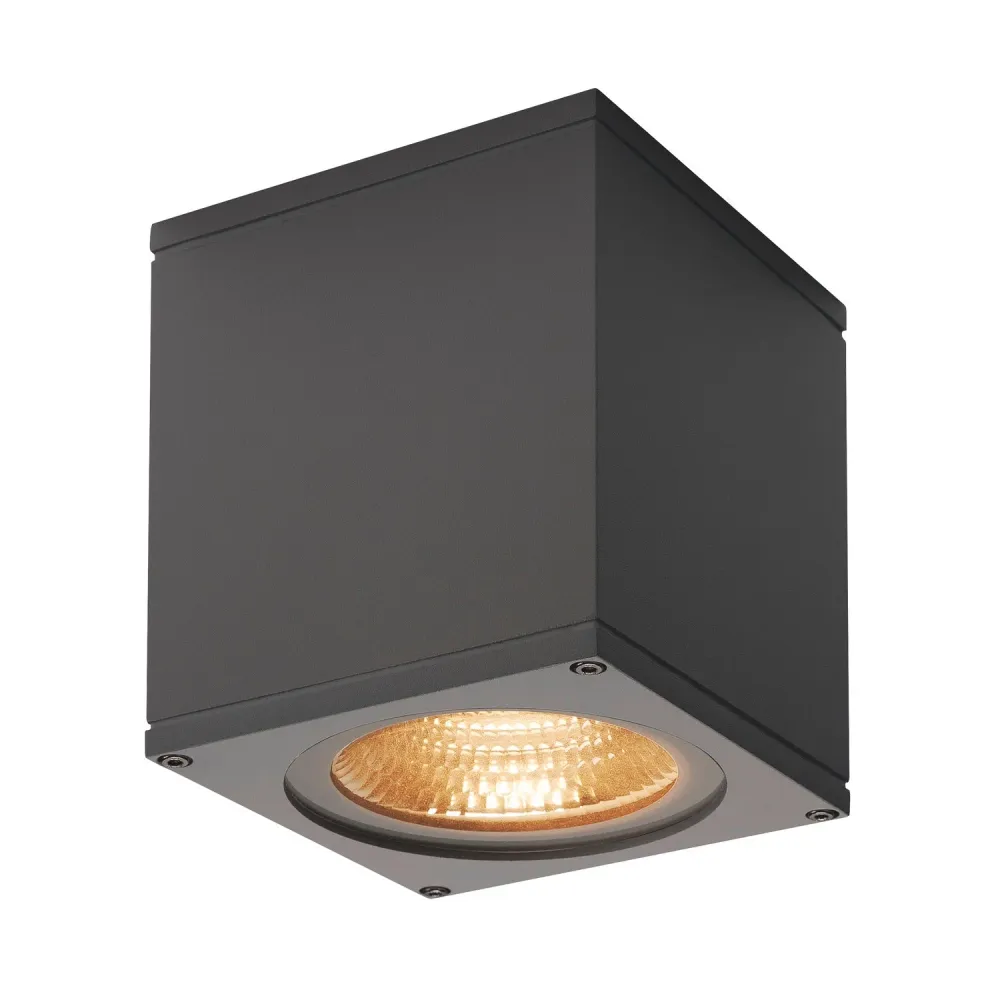 T8 SLV Buitenlamp BIG THEO IP44 Antraciet - Wand