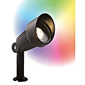 Garden Lights Led-tuinspot - 5 W, Meerkleurig, IP44