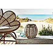 Solar led-decoratielamp Tortoli - l x b x h: 250 x 250 x 255 mm, Accuduur: 6 u