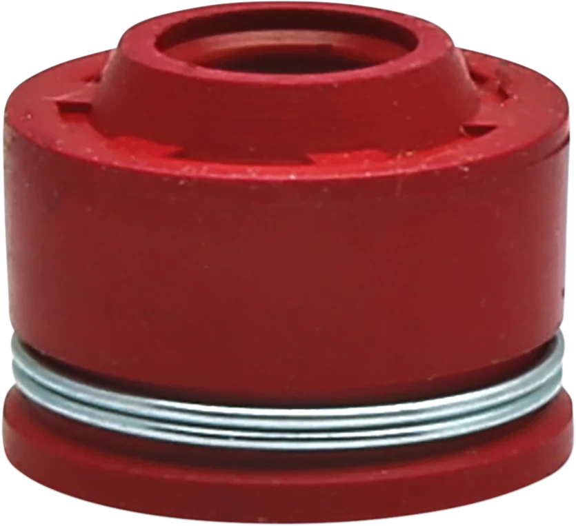Veiligheidsschoen met Stalen Neus KIBBLEWHITE VALVE SEALS SEAL V.G. VITON 16/PK