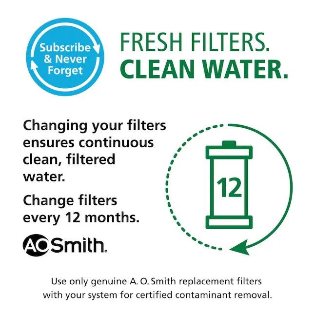 .O. Smith Clean Water System Remineralizer and Set Under Sink Replacement Filter