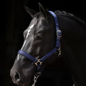 Dexter Halter Warme stof Underlay DB/AB Foal met montagehandleiding