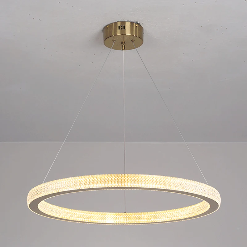 19"/25,5" dia gouden ring hanglamp minimalistische LED acryl plafond hanglamp wit/warm licht Clearhalo