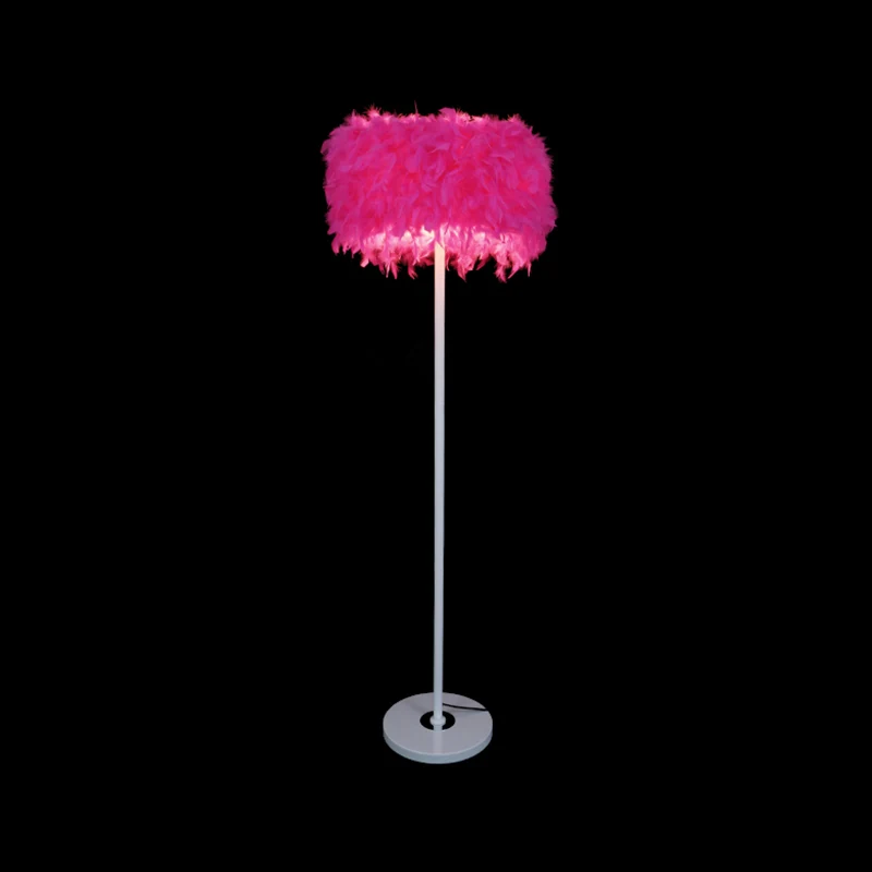 Bordeaux/paars/roze trommelvloerlamp Minimalistische staande vloerlamp met 1 lamp en veren voor de woonkamer Clearhalo