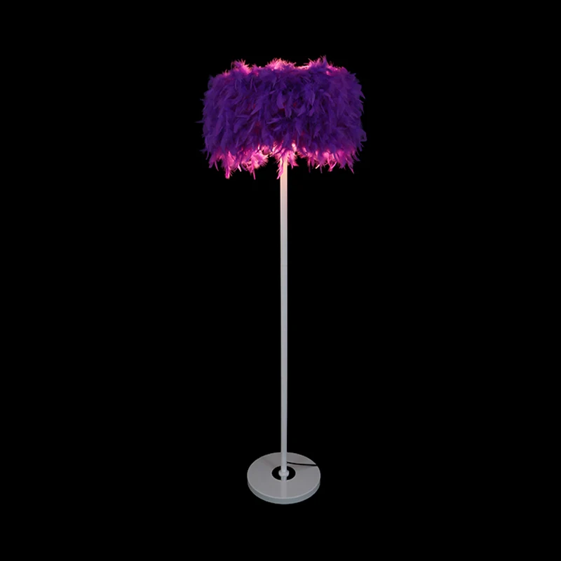 Bordeaux/paars/roze trommelvloerlamp Minimalistische staande vloerlamp met 1 lamp en veren voor de woonkamer Clearhalo