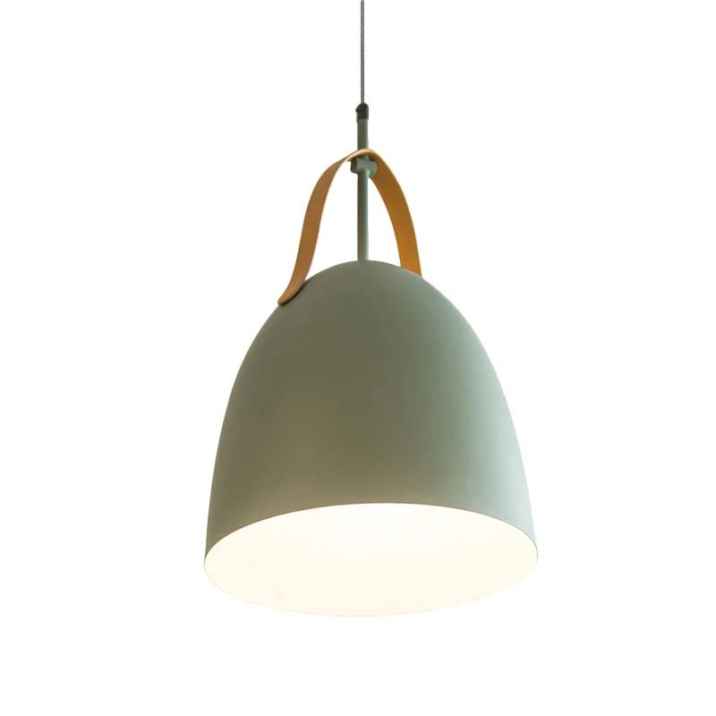 Dome Down Lighting Eenvoudige metalen 1-kops hangende plafondlamp voor de woonkamer groen/wit/grijs Clearhalo