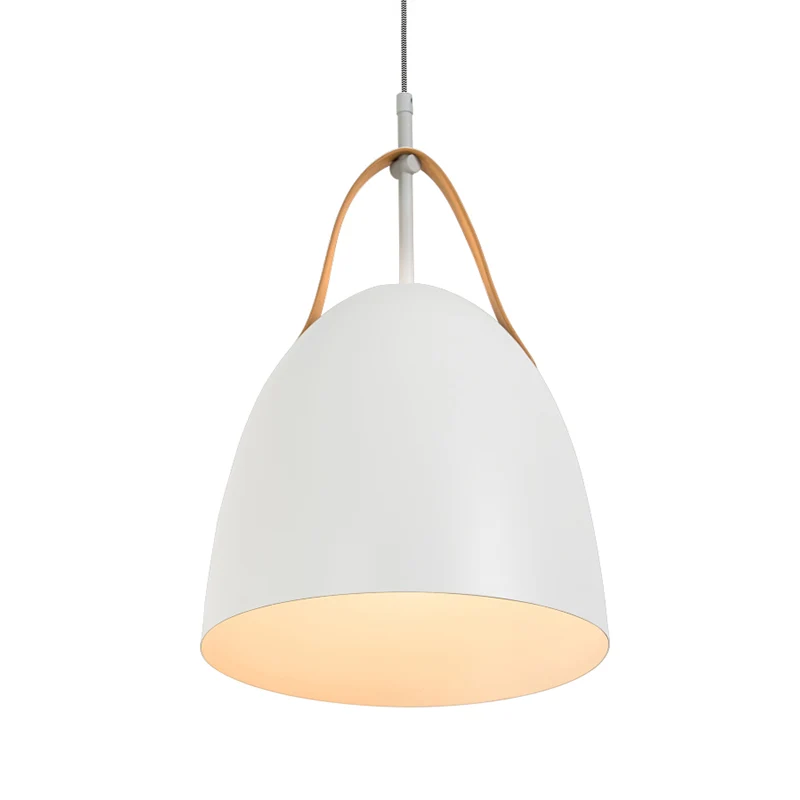 Dome Down Lighting Eenvoudige metalen 1-kops hangende plafondlamp voor de woonkamer groen/wit/grijs Clearhalo