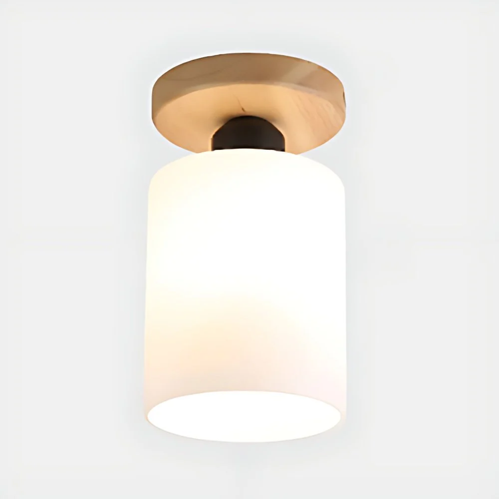 Plafondverlichting met één lamp, industriële bol/cilinder matglas, semi-inbouwlamp zwart voor foyer Clearhalo