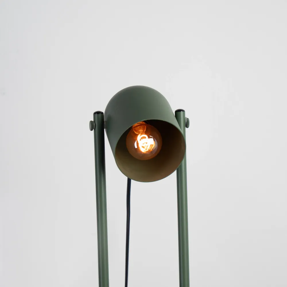 EGLO vloerlamp Tilston - 142.5 cm - groen