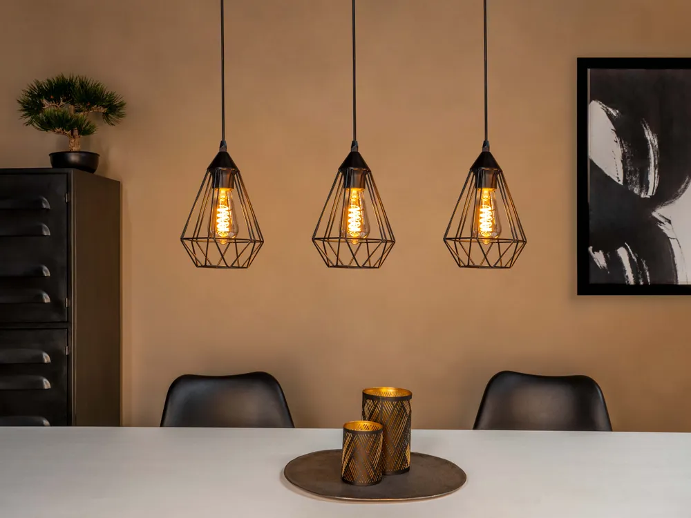 EGLO hanglamp Tarbes - e27 - 79 cm - zwart