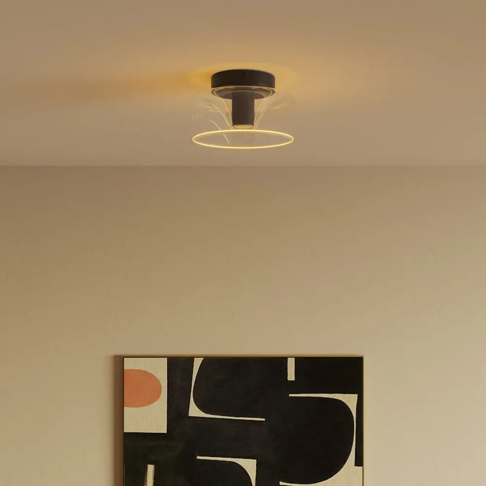 Fermaluce wandlamp Zwart met G02 lamp
