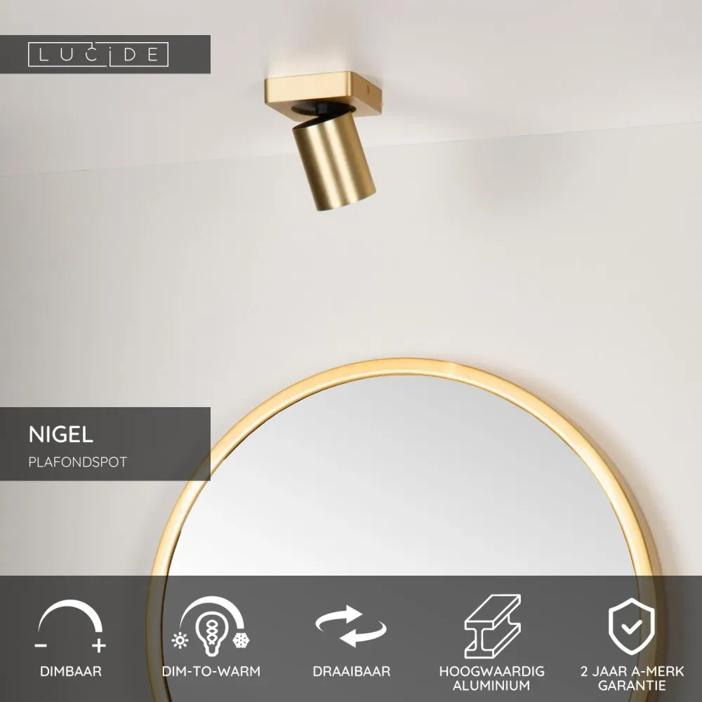 Lucide plafondspot NIGEL - 1xGU10 - Mat Goud / Messing