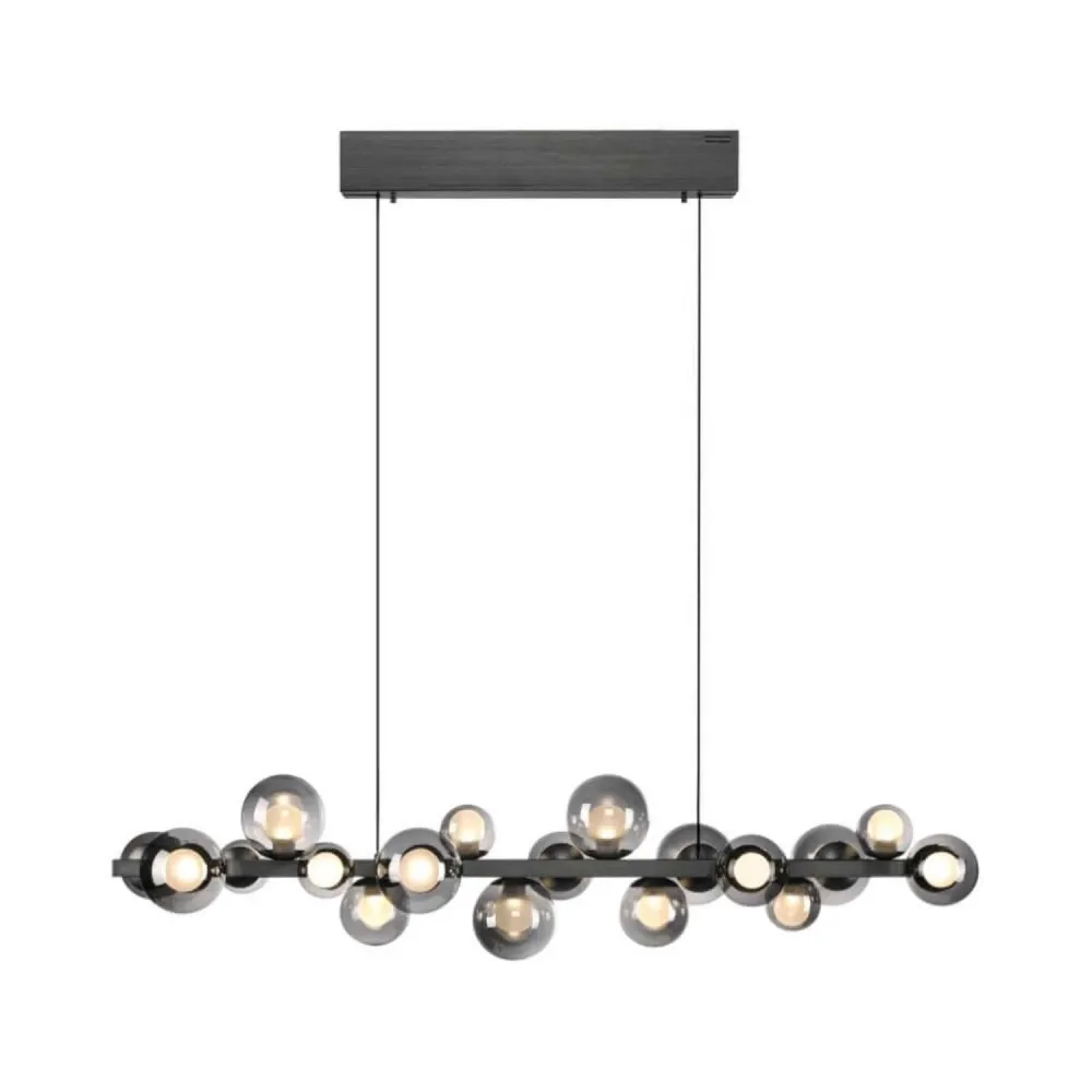 Neuhaus PURE hanglamp E-Popup - 18 lichts - 120 x 240 cm - antraciet Paul Neuhaus