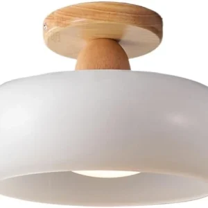 Plafondlamp Hout en Glas met LED