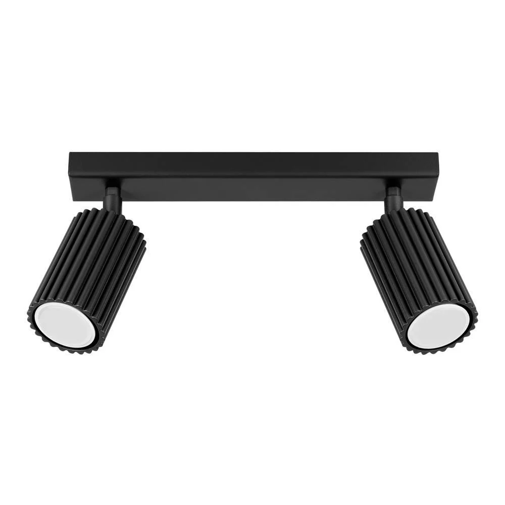 Plafondlamp Kalle 2-lichts Selsey