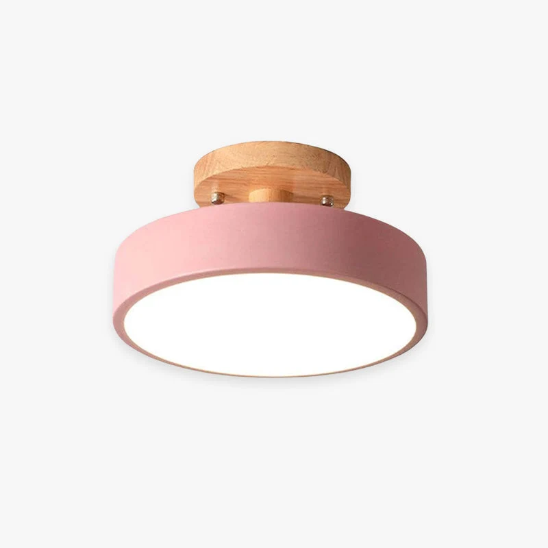 Quinn Moderne LED Plafondlamp Selzar