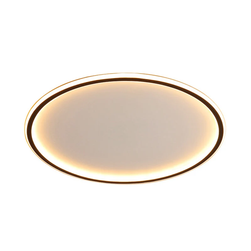 Scandinavisch Stijl LED Plafondlamp met Afstandsbediening Selzar