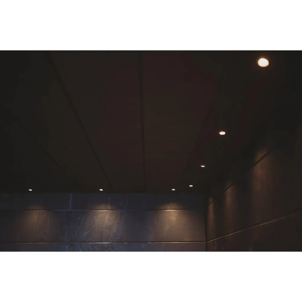 TYLÖ LED Sauna inbouw Spotverlichting - Alu/Black/White Tylo
