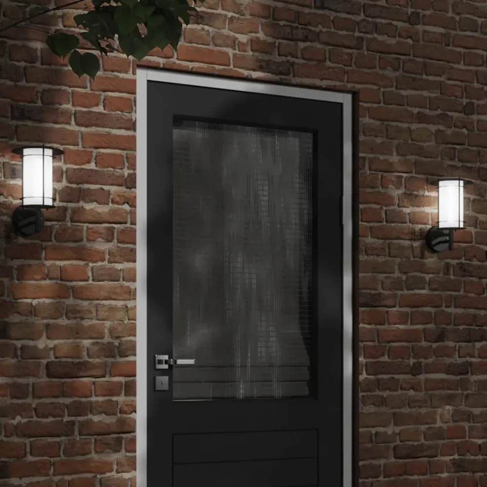 Buitenwandlamp roestvrij staal zwart vidaXL