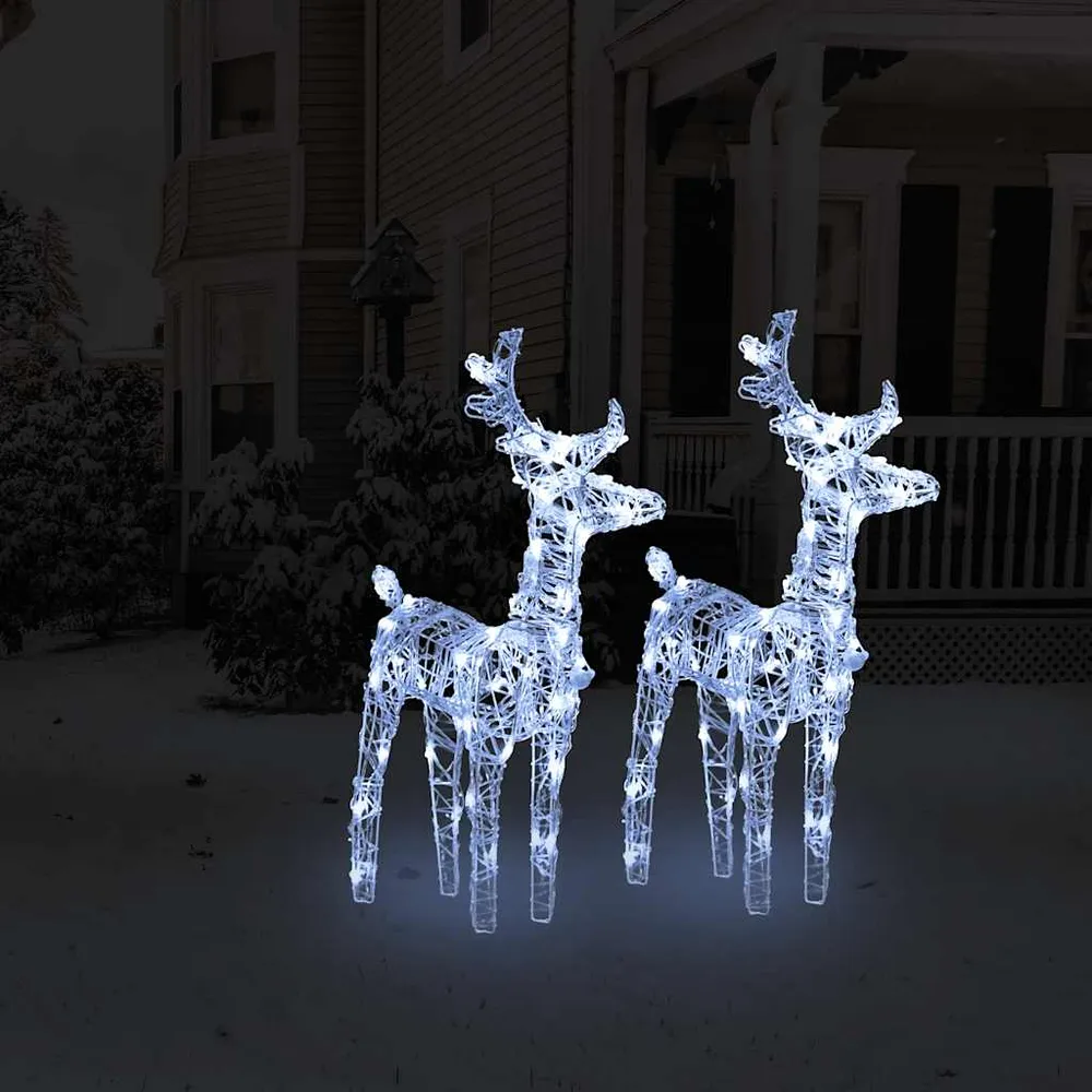 Kerstrendieren 2 st 80 LED's acryl koudwit vidaXL