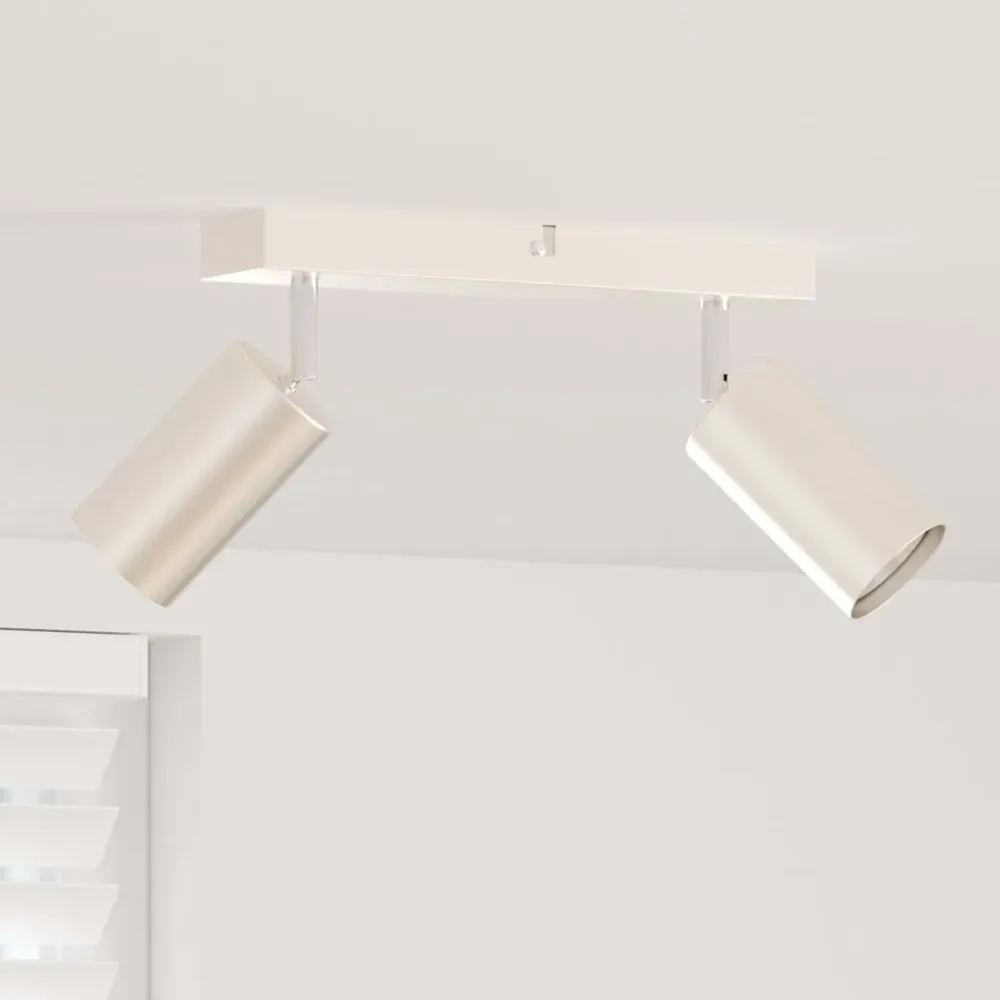 Plafondspot met schijnwerpers Nikkel 26 x 6 x 16 cm Metaal vidaXL